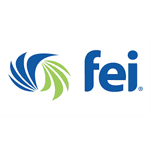 lgoos_0000s_0005_financial-executives-international-fei-logo